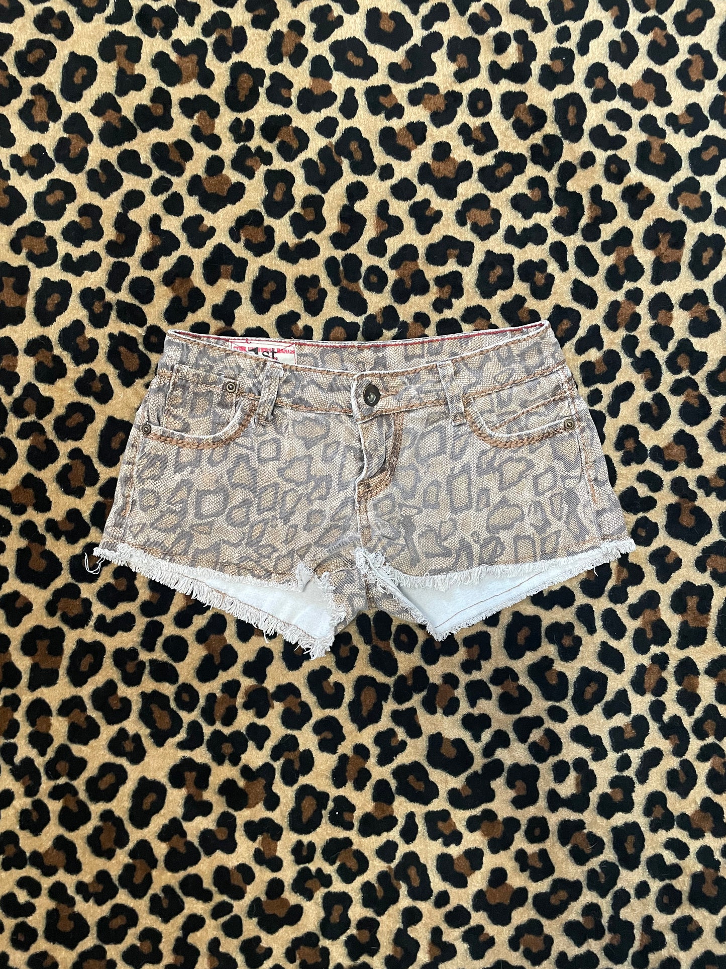 cheetah print lowrise mini shorts
