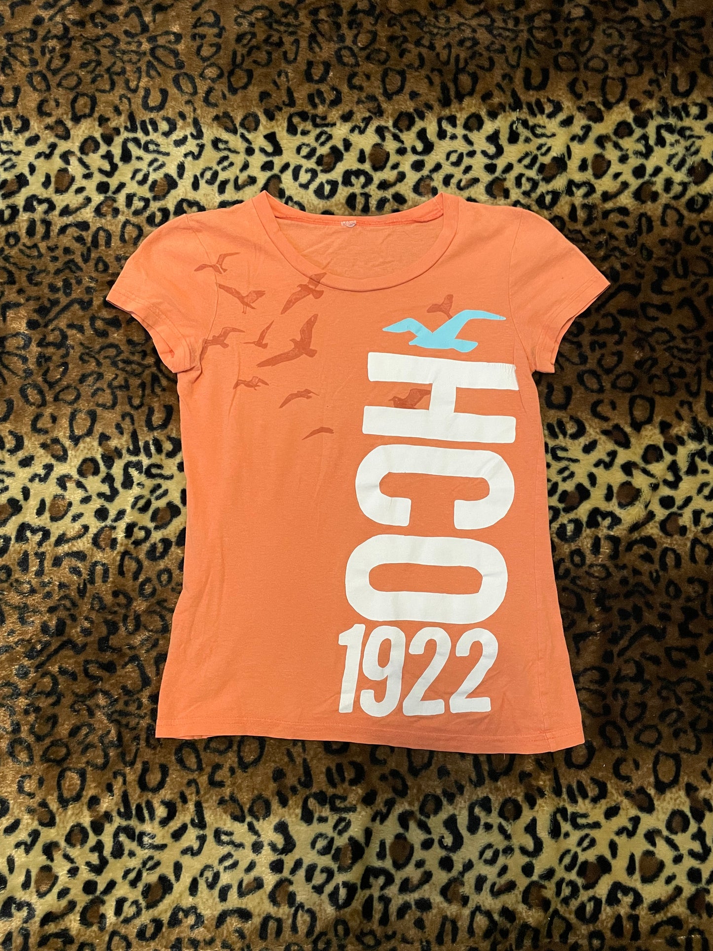 hollister fitted shirt