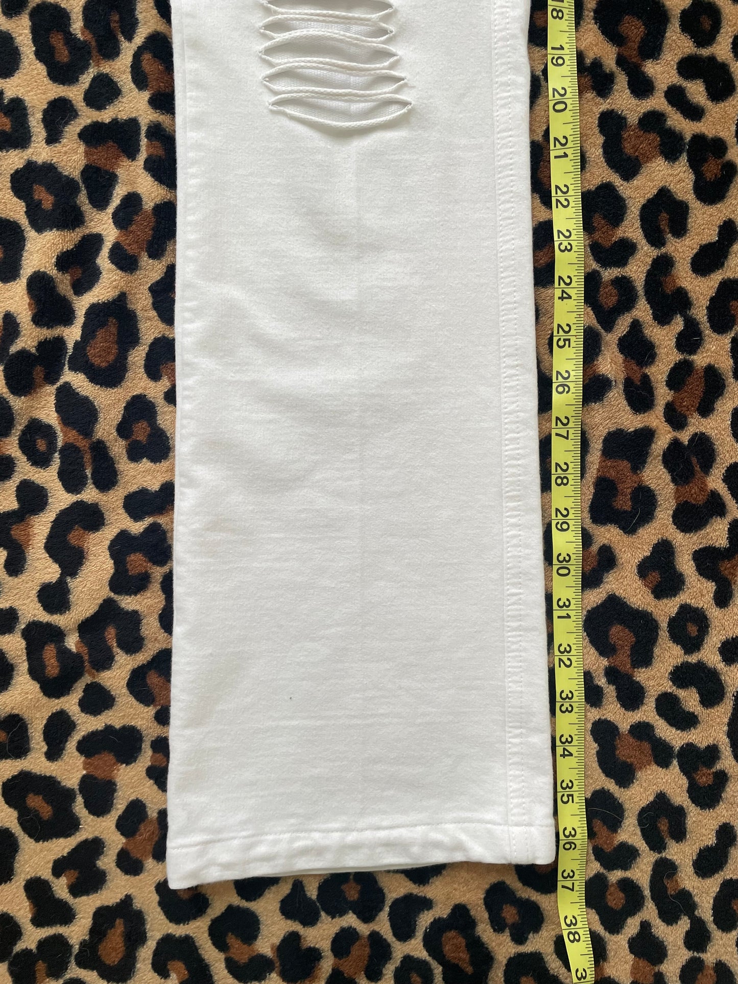 vanilla star lowrise star pants