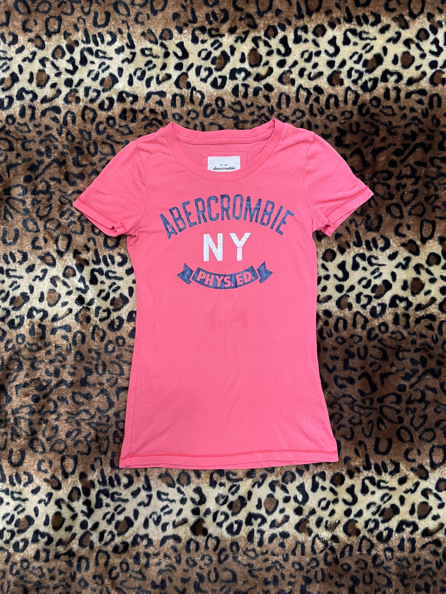 abercrombie fitted tee