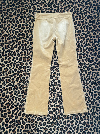 express suede pants