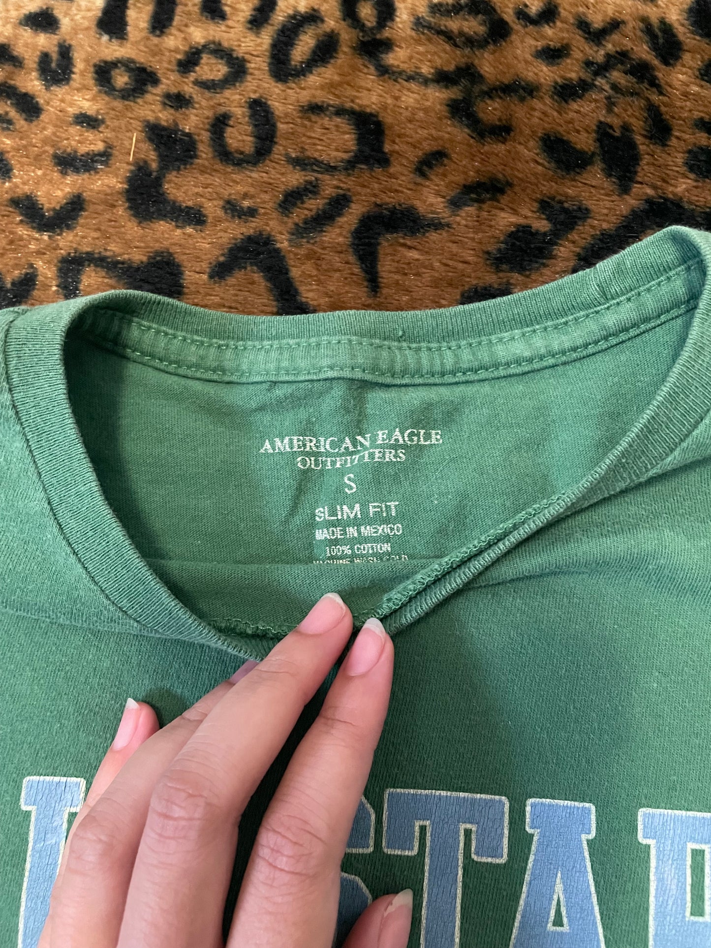 american eagle longsleeve