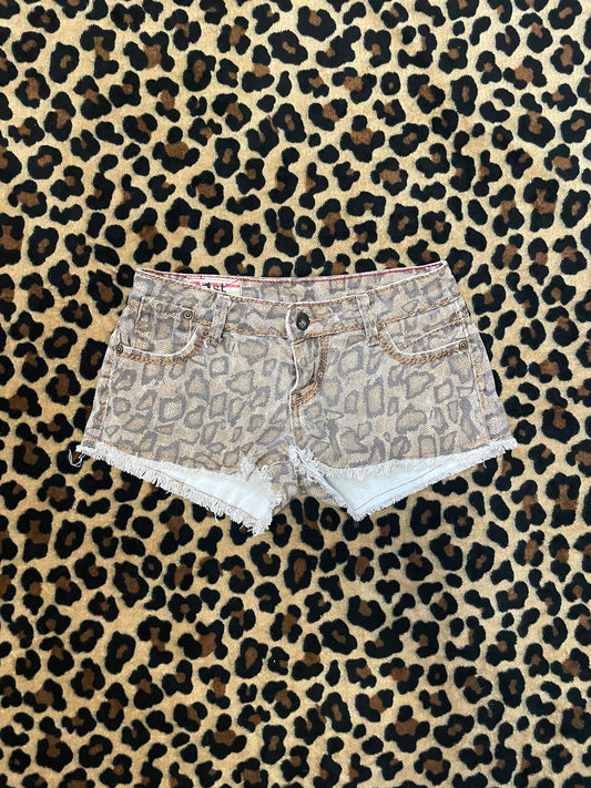 cheetah print lowrise mini shorts