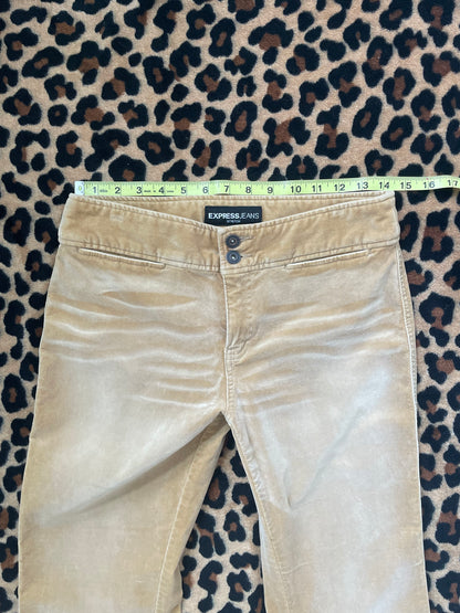 express suede pants