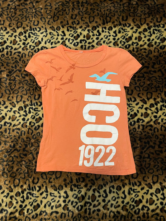 hollister fitted shirt